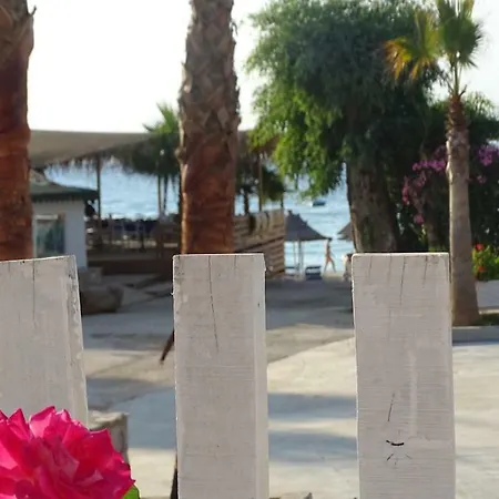 Seaside 3*
